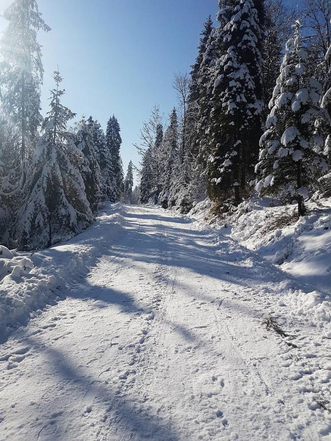 Skalny Zakatek Z Grota Solna Na Wylacznosc Łapsze Niżne Exterior foto